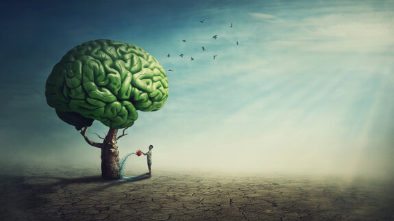 New studies link oral health to cerebrovascular health