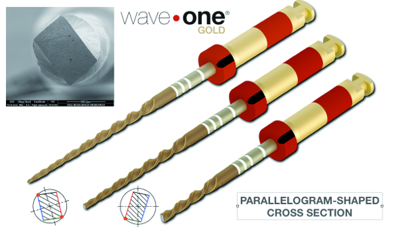 Shaping canals with confidence: WaveOne GOLD single-file reciprocating system