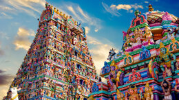 World Dental and Oral Health Congress 2019