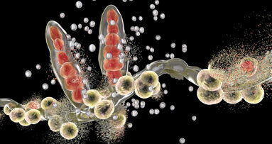 Nanorobots quickly and effectively target fungal infections in the oral cavity
