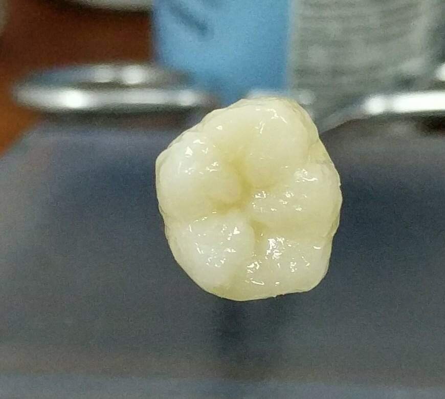 FB_IMG_1578882982853