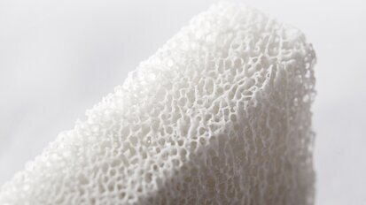 Una nueva generación de injertos óseos naturales