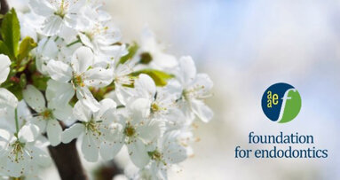 Foundation for Endodontics is providing COVID-19 relief grant to graduating residents