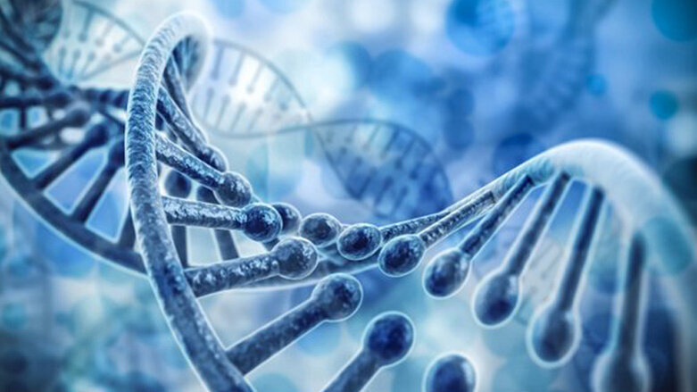 Zwillingsstudie: Kariesanfälligkeit ist nicht angeboren