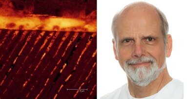 Webinar: Fehlervermeidung bei der Anwendung von Adhäsivsystemen