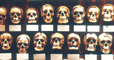 Philadelphia museum features 20,000 medical anomalies