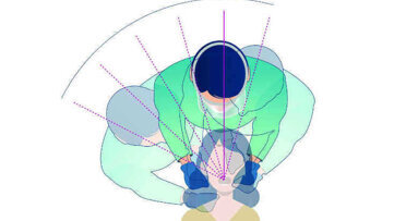 Congrès ADF : Ergonomie de travail et prévention des troubles musculo-squelettiques