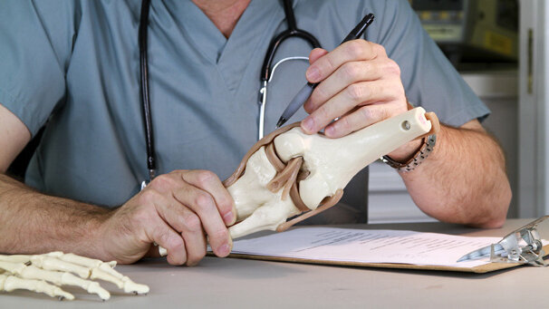 Oral bacteria resposible for artificial joint failure