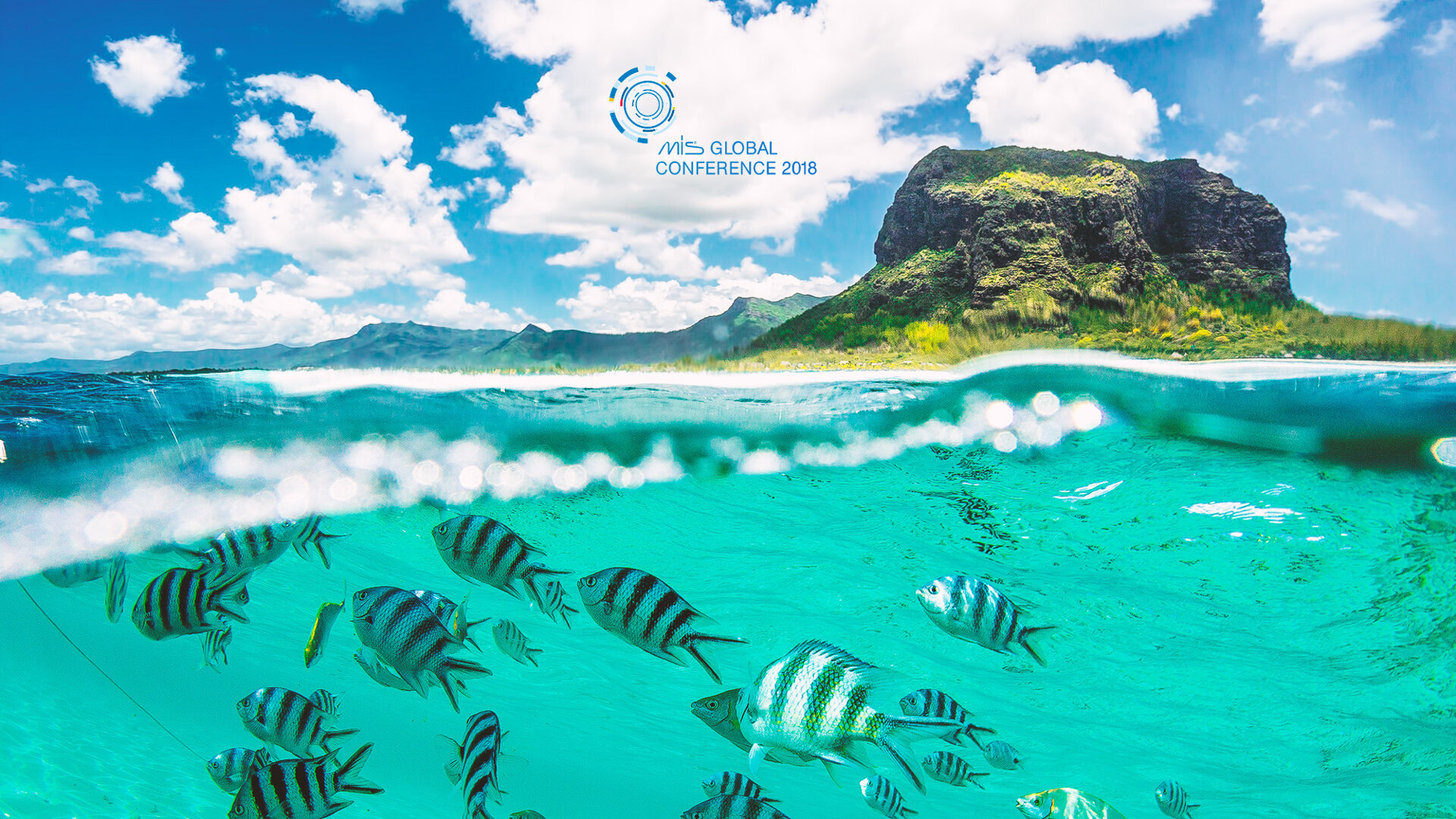 Fourth MIS Global Conference sparks inspiration