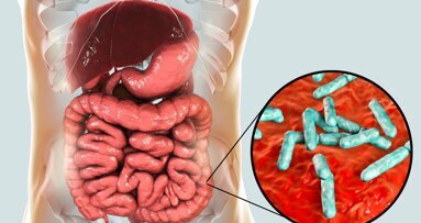 Periodontitis can disrupt gut microbiota by inducing dysbiosis