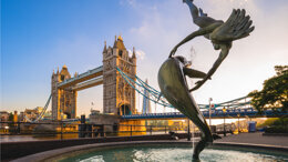 BSP Conference 2021: Hard & Soft Tissue Regeneration