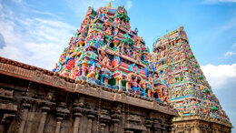 IFEA 2020 - 12th World Endodontic Congress