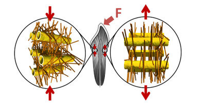 Wissenschaftler entdecken Grundlagen für neue keramische Materialien