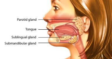 Οι σιελογόνοι αδένες επηρεάζουν τη στοματική υγεία