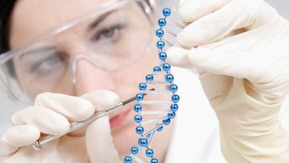 Wachstum von Tumorzellen durch verschwundenes Erbgut