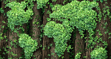 Henry Schein, une entreprise éco-responsable