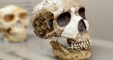 Researchers find traces of lead in 250,000-year-old Neanderthal teeth