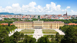 Anatomical Surgery Course