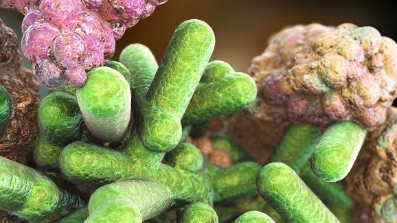 口腔医学已经无法逃避抗生素耐药问题的威胁