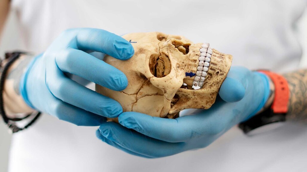 Nose, Sinus & Implants: Humanpräparatekurs und Weichgewebemanagement