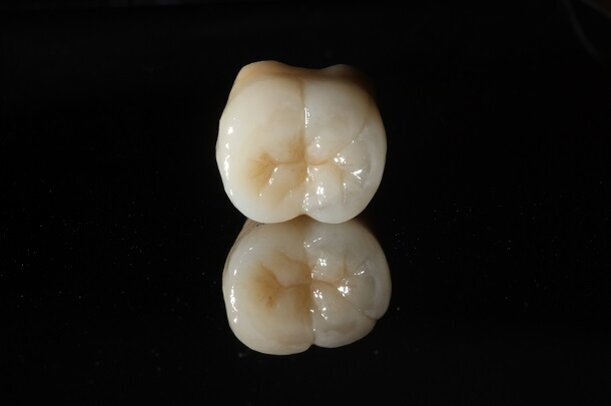 Images sent by participants for the contest