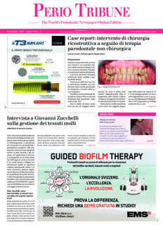 Perio Tribune Italy No. 2, 2019