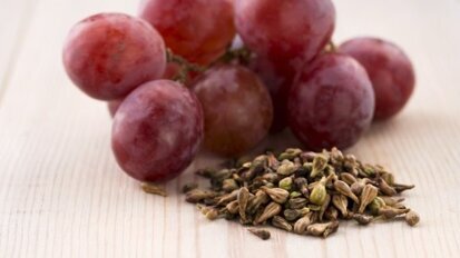 Sementes de uva podem ser a chave para aumentar a durabilidade dos produtos para obturação dentária