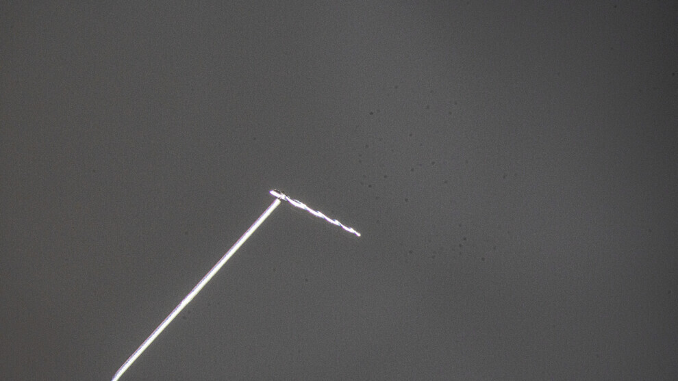 Fig. 34: One of the retrieved file pieces in the lasso tool.