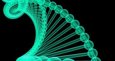 Gene für frühes Zahnwachstum identifiziert
