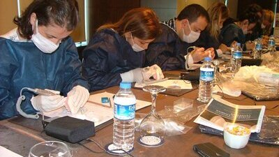 Diş Hekimleri, Lamina Eğitim Serilerine Büyük İlgi Gösteriyor