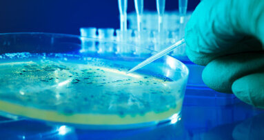 Les dentistes répondront aux préoccupations mondiales sur la résistance aux antibiotiques pendant l'IDEM de Singapour