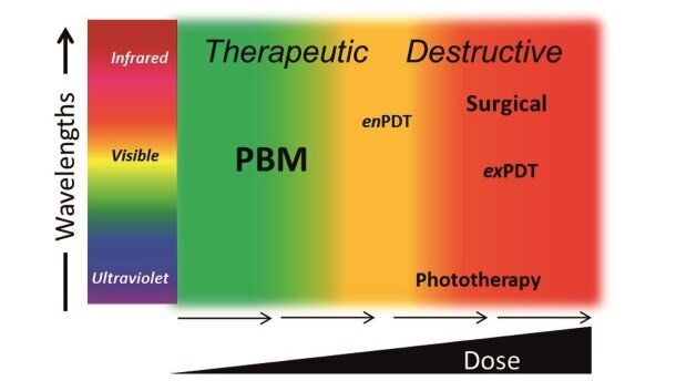 Innowacyjna technologia laserowa w stomatologii regeneracyjnej