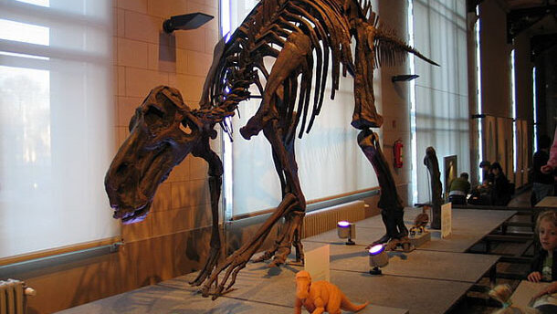 Vegetarische dinosauriërs hadden indrukwekkend gebit