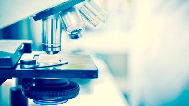 Gruppo di ricercatori studia un batterio orale come possibile causa dell’endocardite infettiva