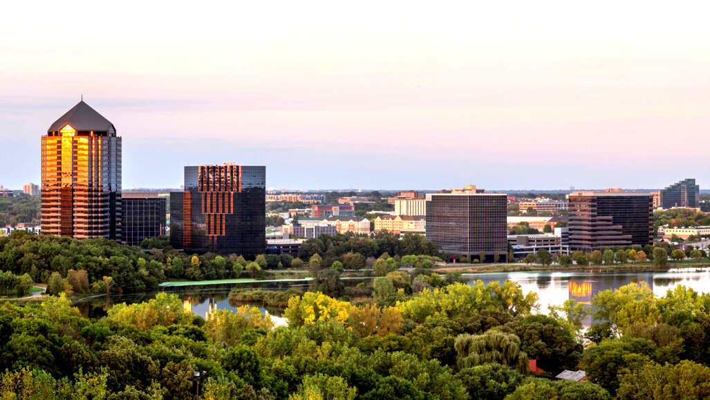 Mother of Pearls 2020