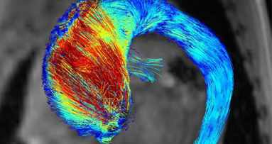 Kompetenzzentrum für bildgebende Verfahren in der Biomedizin eröffnet