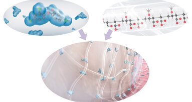 Il controllo chimico della placca nella terapia delle malattie parodontali e perimplantari placca-indotte