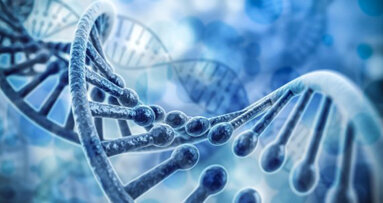 Zwillingsstudie: Kariesanfälligkeit ist nicht angeboren