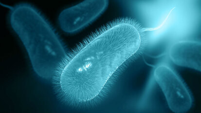 Helicobacter Pylori e cavità orale: una strada a doppio senso?