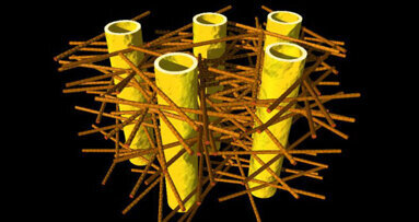 Descubren la estructura interna de la dentina