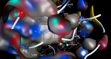 Kampf gegen Parodontose-Erreger