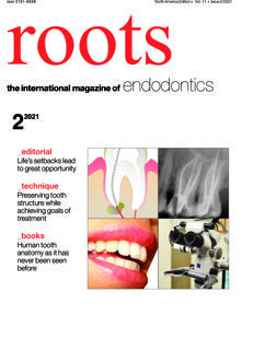 roots North America No. 2, 2021 roots North America No. 2, 2021