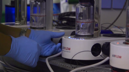 Making the AIRFLOW Prophylaxis Master