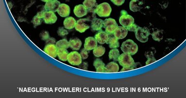 Naegleria fowleri claims 9 lives in 6 months