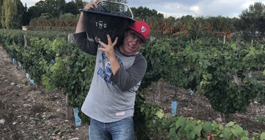 Not so frequently asked questions with Steve Jones