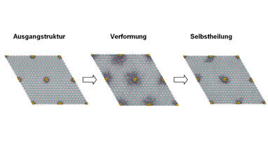 Eiweiß für Regeneration des Zahnschmelzes verantwortlich