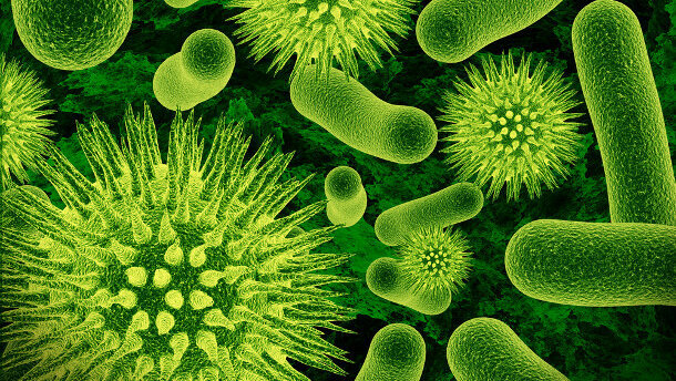 La foire de Paris consacre une invention qui servira aussi les dentistes