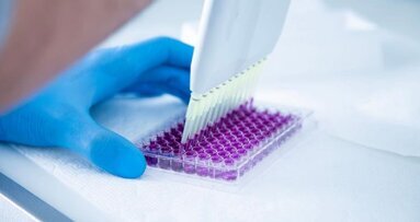 Skąd komórki znają swoją tożsamość w organizmie?