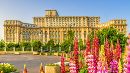 DENTA - Spring Edition