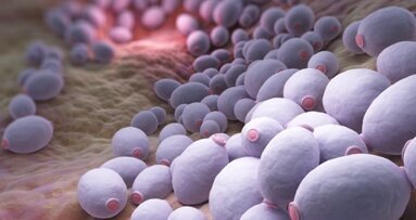 Открит е механизмът зад оралната кандидоза